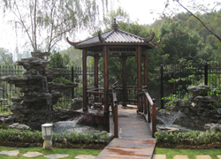 ����ͥԺ˽�һ�԰